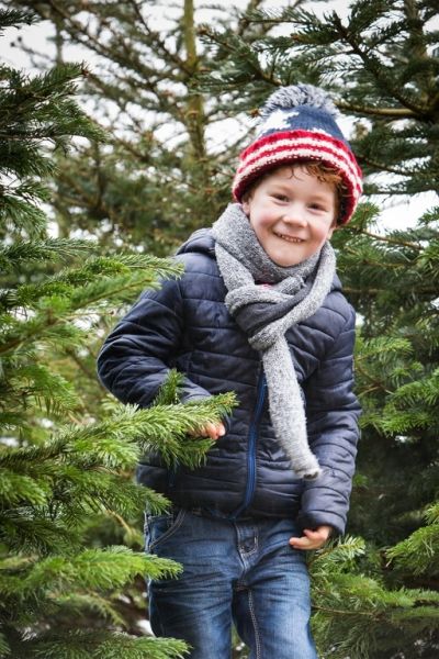 Gezien in de folder: Echte kerstbomen